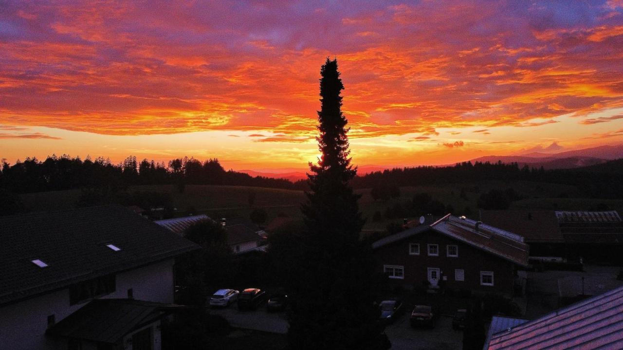 Zur Neuen Post Landgasthof Herzogsreut Eksteriør bilde