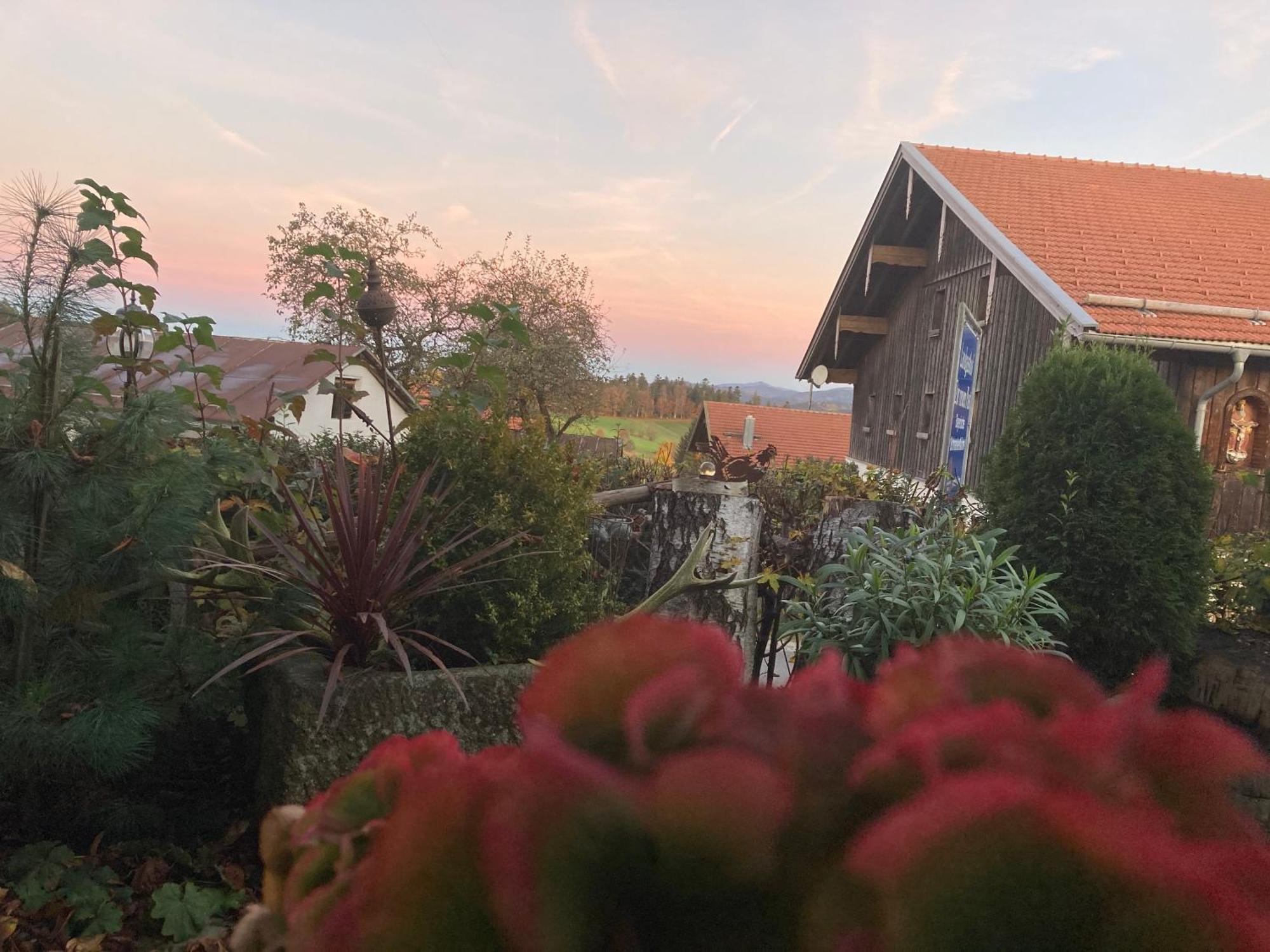 Zur Neuen Post Landgasthof Herzogsreut Eksteriør bilde